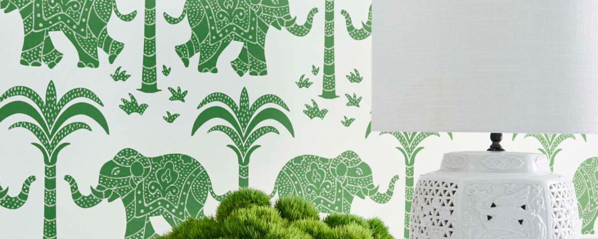 Thibaut Kismet T16201